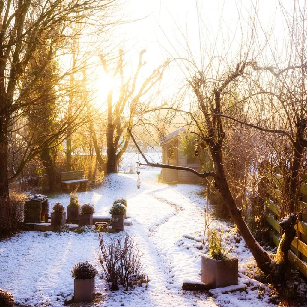 winter