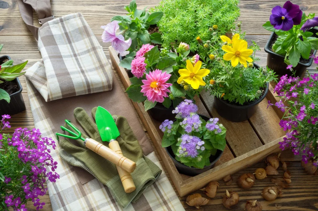 Seasonal Tips for Keeping Your Garden Vibrant All Year Long